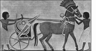 Horse and chariot